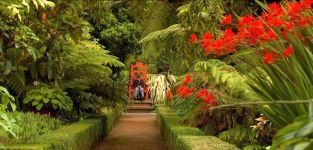 Camp Estate By Larnach Castle Villa Дюндин Екстериор снимка