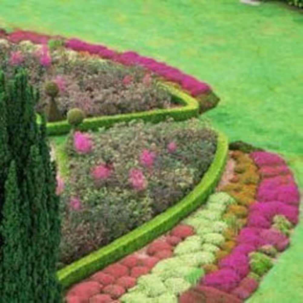 Camp Estate By Larnach Castle Villa Дюндин Екстериор снимка