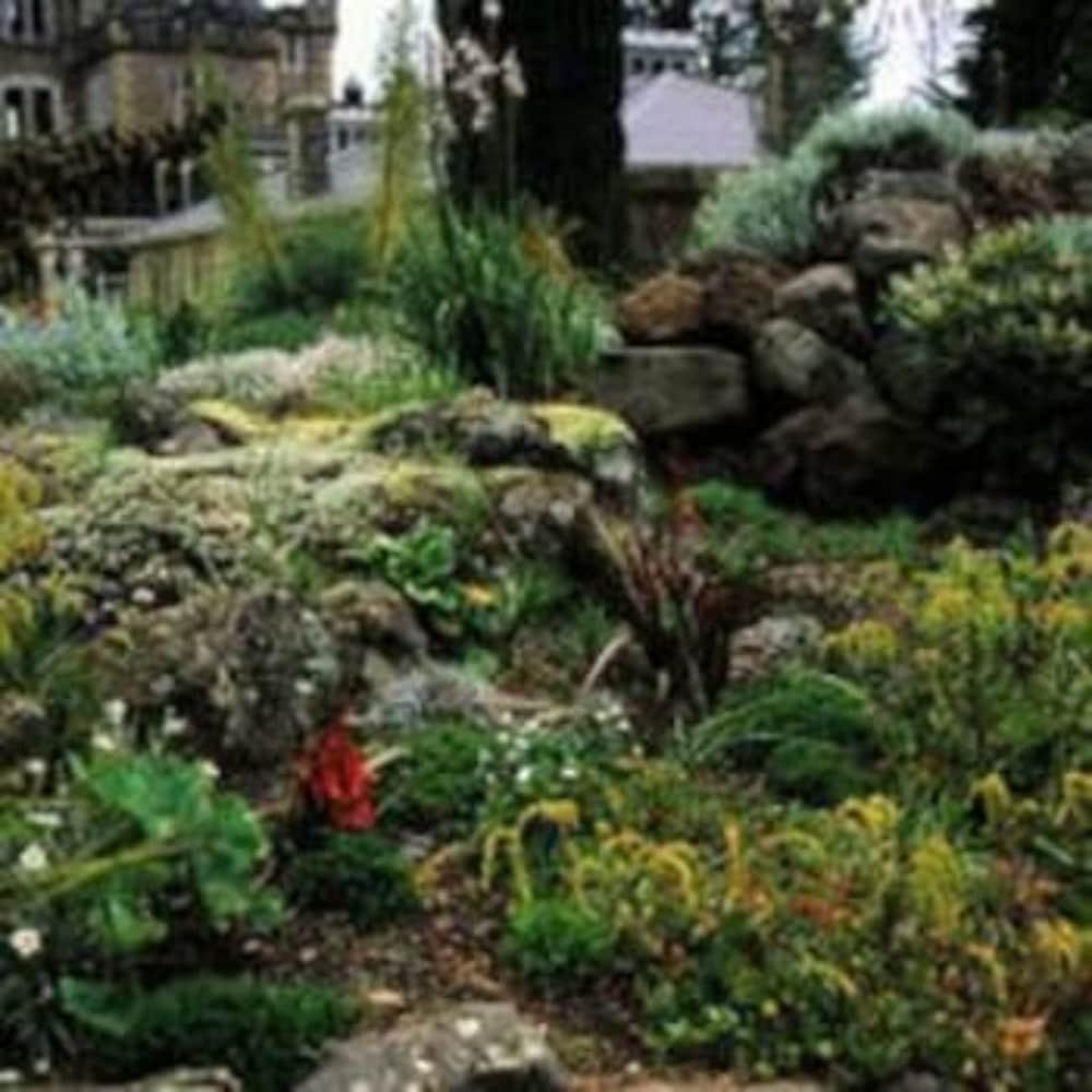 Camp Estate By Larnach Castle Villa Дюндин Екстериор снимка